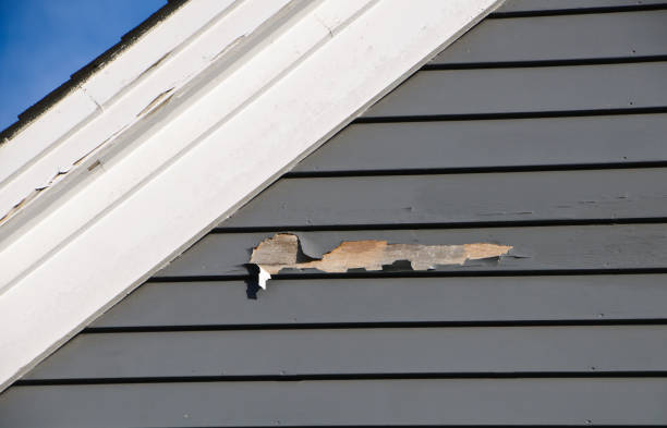 Best Residential Vinyl Siding Installation  in Powhatan Point, OH