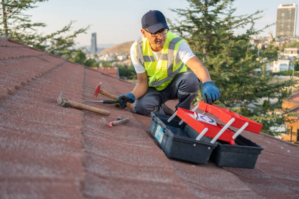 Best Storm Damage Siding Repair  in Powhatan Point, OH